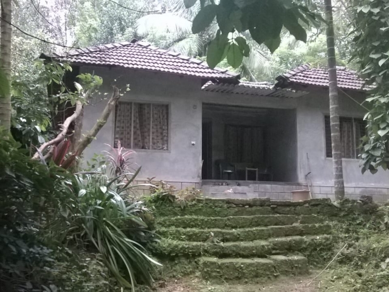 kerala properties for sale