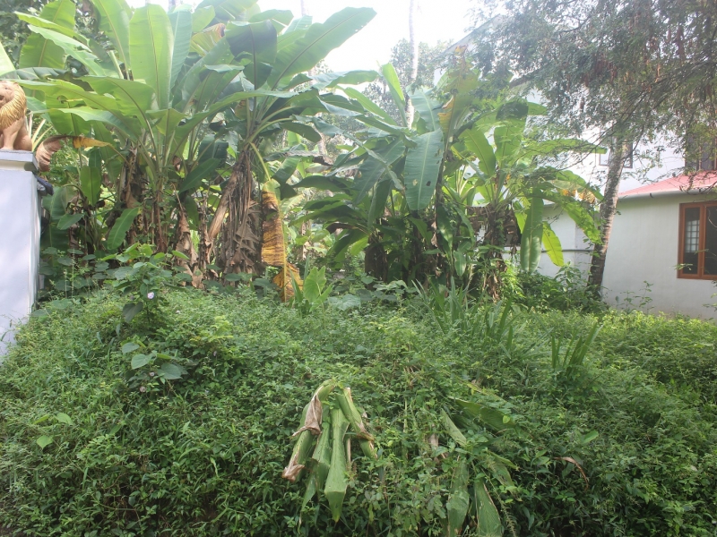 kerala properties for sale