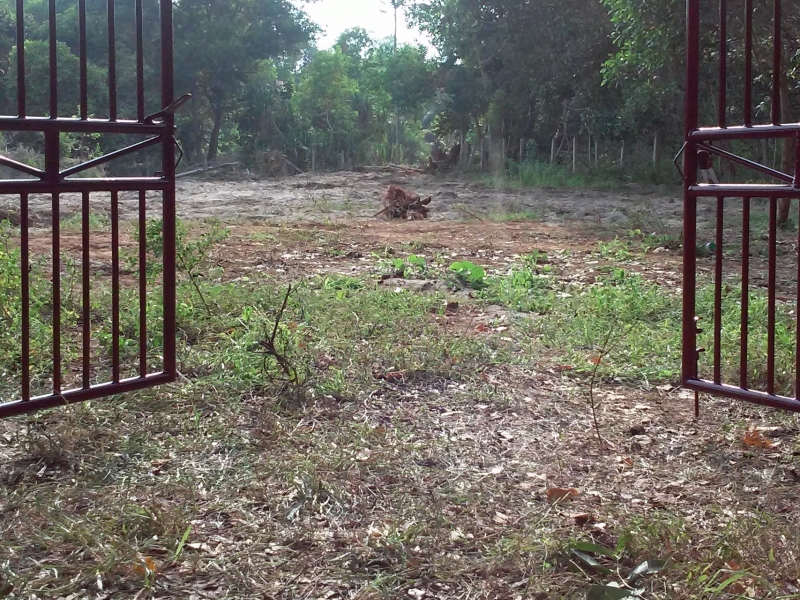 kerala properties for sale
